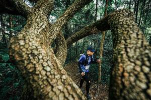 BIB: 
                            <button type="button" onclick="openModal(25394305)" class="btn btn-primary btn-sm float-right btn-popup" data-toggle="modal" data-target=".modal-high-quality">
                        <i class="fas fa-shopping-cart"></i> Add to Cart
                    </button>
                                            <button type="button" onclick="isThisMe(25394305, true)" class="btn btn-success btn-sm float-right btn-popup btn-isme hidden" data-toggle="tooltip" data-placement="bottom" title="นี่คือรูปของคุณใช่ไหม คลิกที่นี่เพื่อเอาเข้าอัลบั้ม">
                        <i class="fas fa-plus"></i> Add to album
                    </button>
                    <button type="button" onclick="isThisMe(25394305, false)" class="btn btn-warning btn-sm float-right btn-popup btn-isnotme hidden">
                        <i class="fas fa-ban"></i> Remove from album
                    </button>